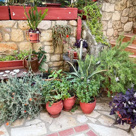 Stone & Lux Holiday home Psakoudia