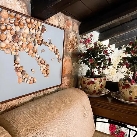 Stone & Lux Psakoudia